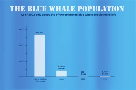 why has the blue whale population decreased