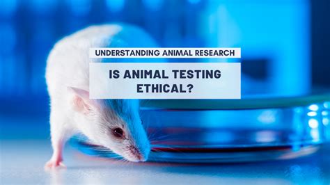 why is animal testing wrong using ethos