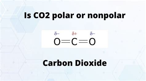 Why Is Co2 Polar