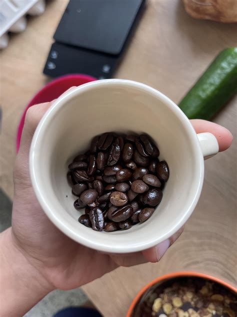 Why Is Coffee Greasy