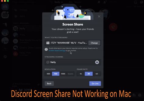 why is discord screen share not working mac
