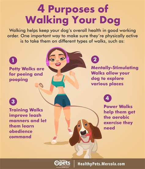 Why Is Dog Walking Important