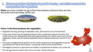 Why Is Flat Land Good