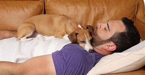 Why Is It Easier To Fall Asleep On The Couch