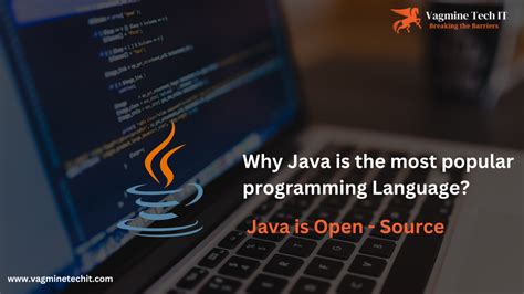 why is java a popular programming language