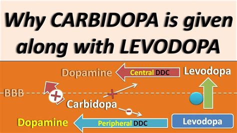 why is levodopa and carbidopa used together