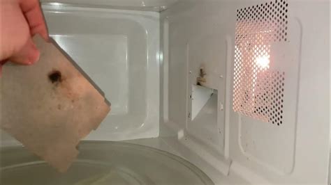 Why Is Microwave Arcing