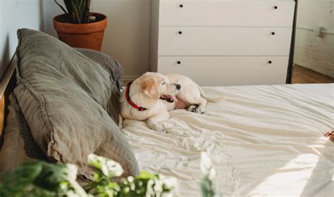 Why Is My Bedroom So Staticy