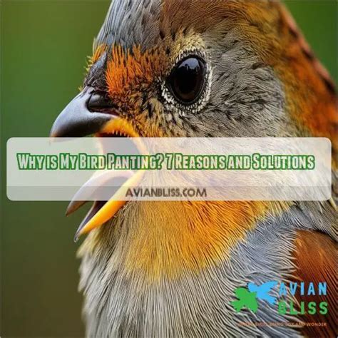 Why Is My Bird Panting Excessively? Causes and Treatment Options