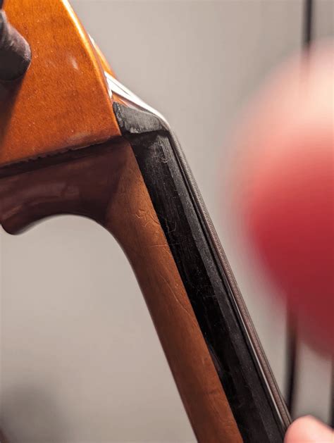 Why Is My Cello Buzzing