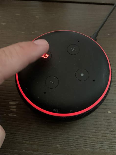 Why Is My Echo Dot Lighting Up