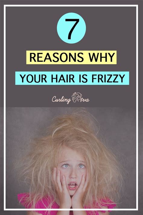 Why Is My Hair Dry And Frizzy All Of A Sudden 