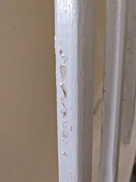 Why Is My Paint Splitting