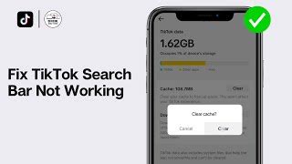 why is my search bar not working on tiktok