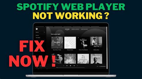 why is my spotify web player not loading
