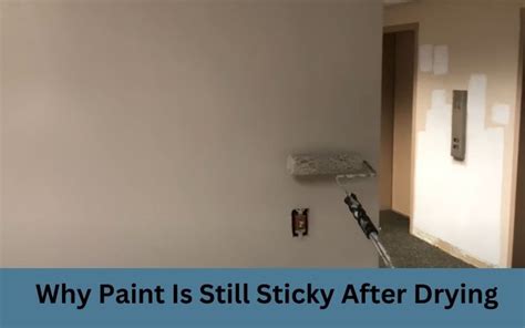 Why Is Paint Sticking