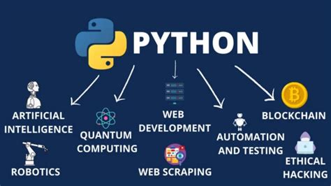 why is python used for scripting