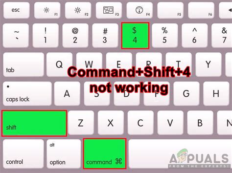 Why Is Shift Command 4 Not Working