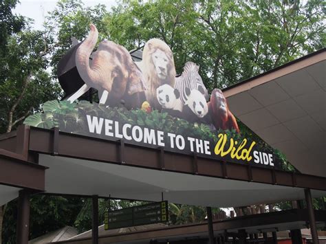 why is singapore zoo important to singapore