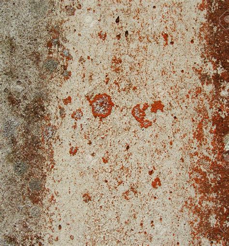 Why Is Some Mold Red