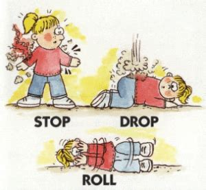 Stop, Drop, and Roll 3 Steps to Extinguish Your Fear Jerusha Agen
