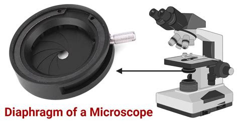 why is the diaphragm iris important in a microscope function