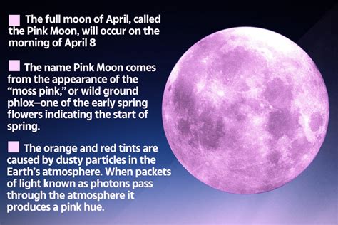 why is the full moon pink