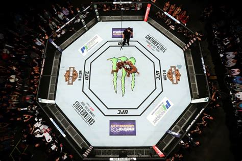 Why Is The Octagon Smaller In Ufc