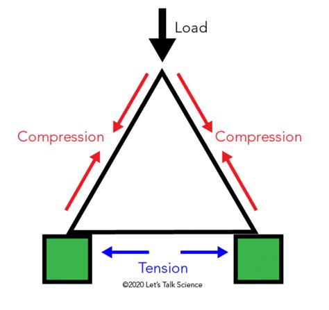 Why Is The Triangle So Important