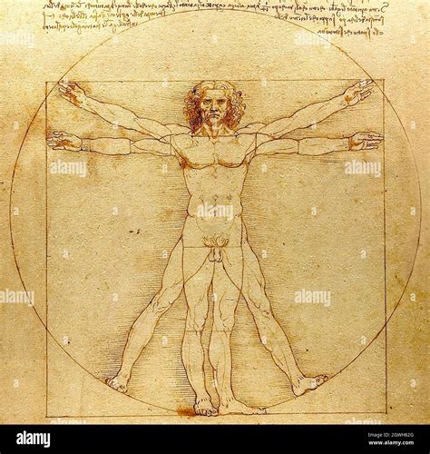 why is the vitruvian man important