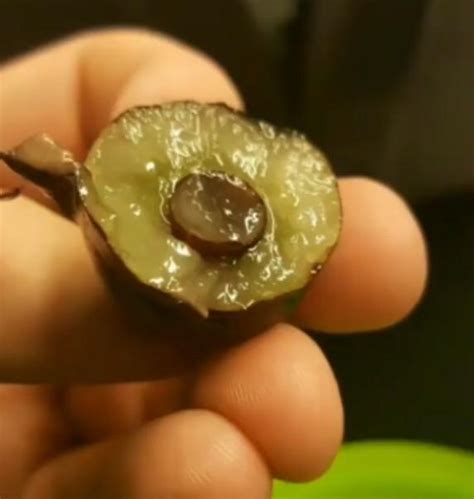 Why Is There A Grape Inside A Grape
