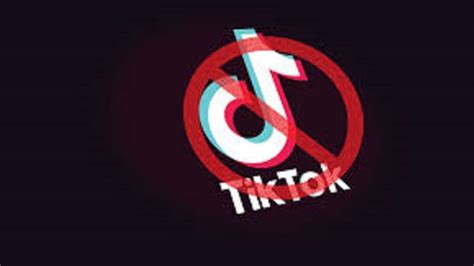 why is tik tok being banned in canada