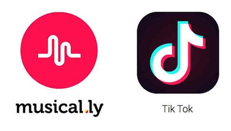 why is tiktok called tiktok