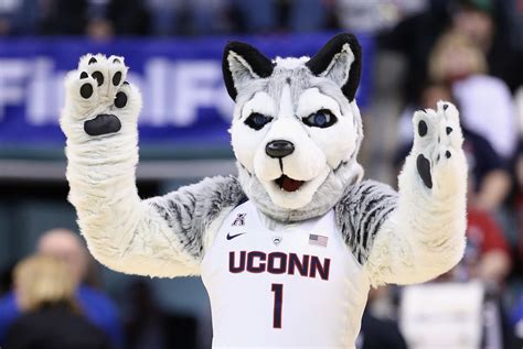why is uconn the huskies