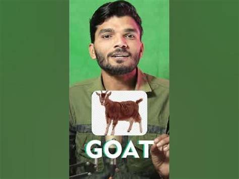 why is virat called goat