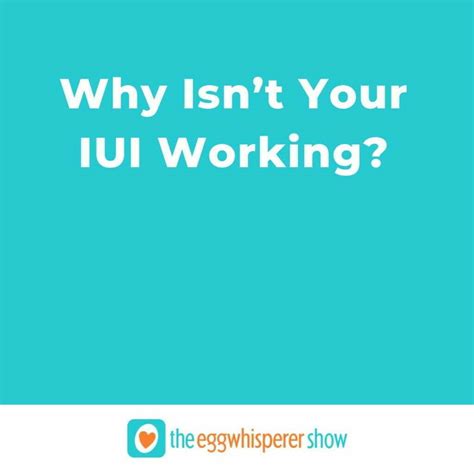 why iui is not working
