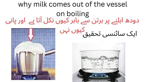 Why Milk Burst While Boiling