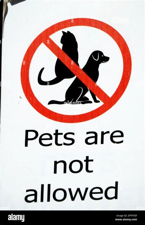 Why No Pets Allowed