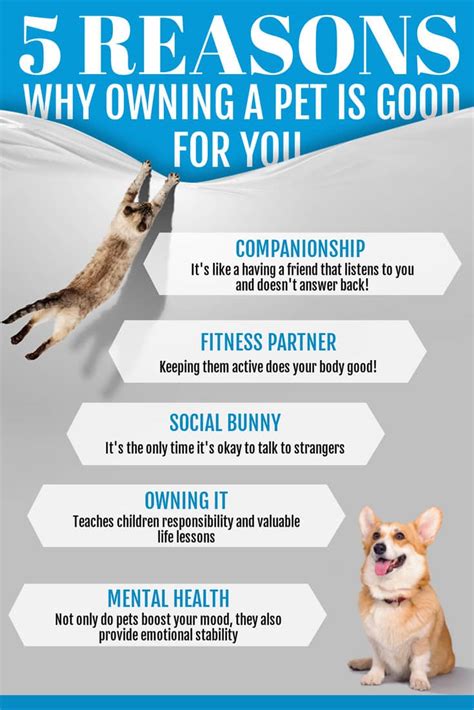 Why Owning A Pet Is Important