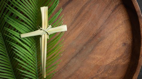 why palm branches on palm sunday