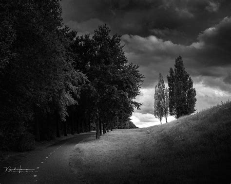 why photography black and white