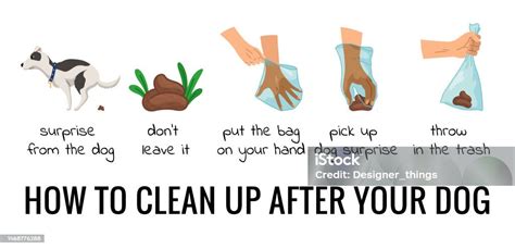 Why Pick Up Dog Waste