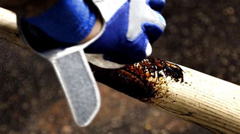 Why Pine Tar On Bats