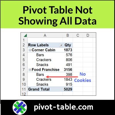 Why Pivot Table Not Showing Data