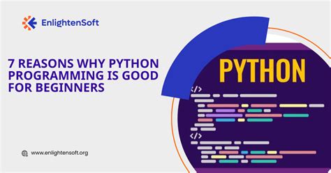 why python is a dynamic programming language
