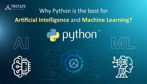Why our machine learning platform supports Python, not R