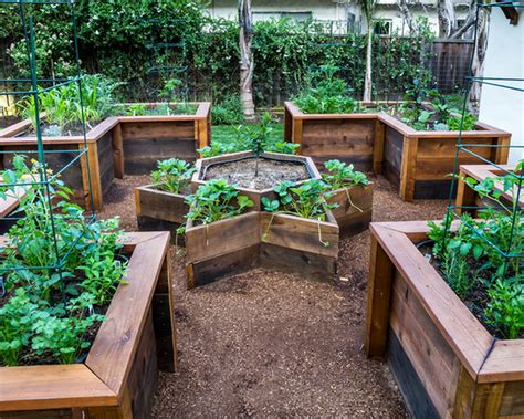 Why Raised Vegetable Garden