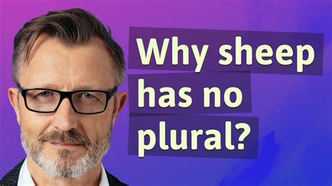 Why Sheep Has No Plural