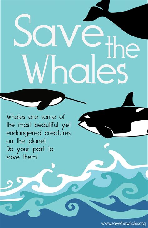 why should we protect whales