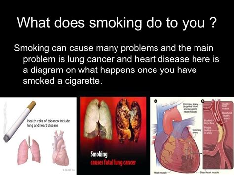 why smoking should be illegal